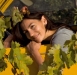 FrauenWerkeBilder3